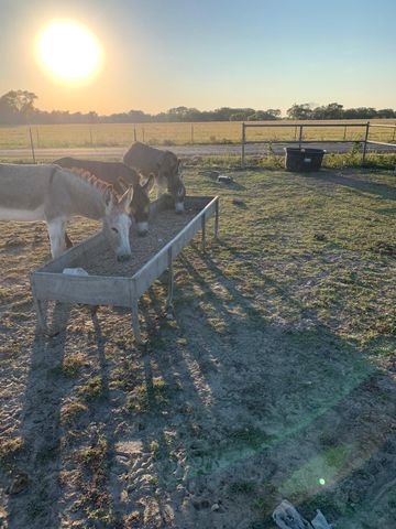 10658 County Road 350, Terrell, TX 75160