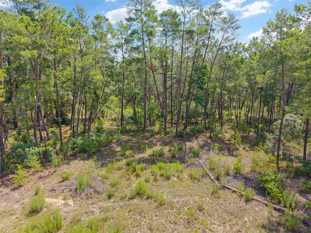 17171 SW 17TH CIRCLE, Ocala, FL 34473