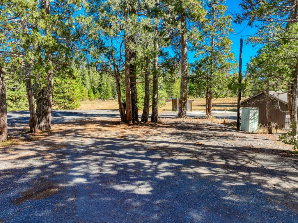 41548 Dinkey Creek Road, Shaver Lake, CA 93664