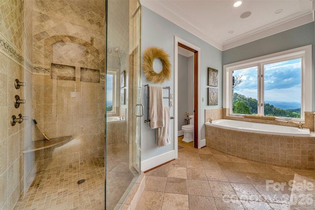 8 Timber Wolf Court, Asheville, NC 28804