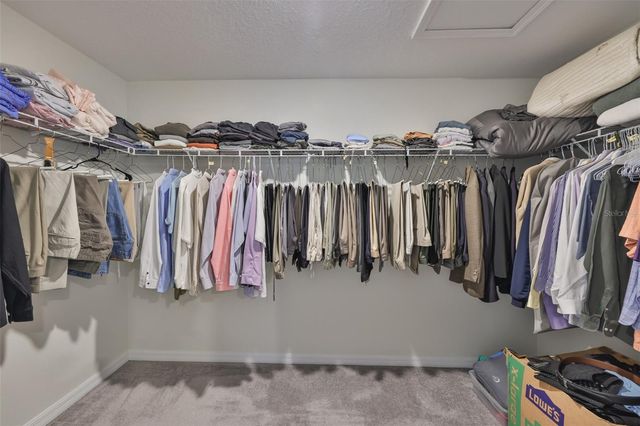 13575 WILLOW BLUESTAR LOOP, Riverview, FL 33579