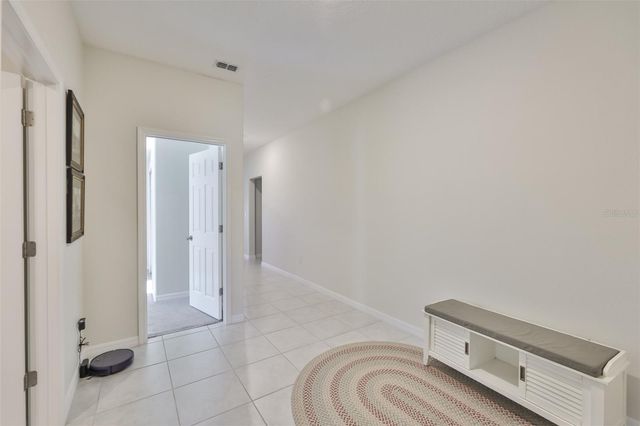 13575 WILLOW BLUESTAR LOOP, Riverview, FL 33579