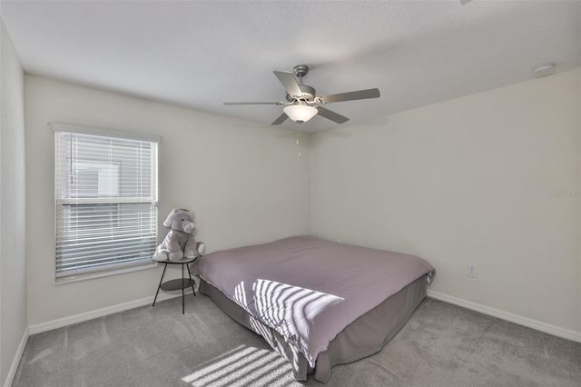 13575 WILLOW BLUESTAR LOOP, Riverview, FL 33579