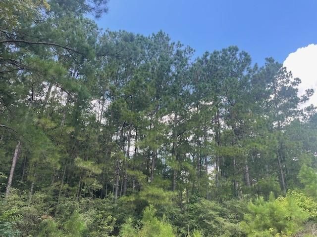 717 Lonestar Road, Huntsville, TX 77340