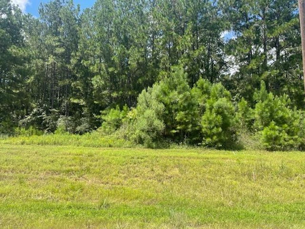 717 Lonestar Road, Huntsville, TX 77340