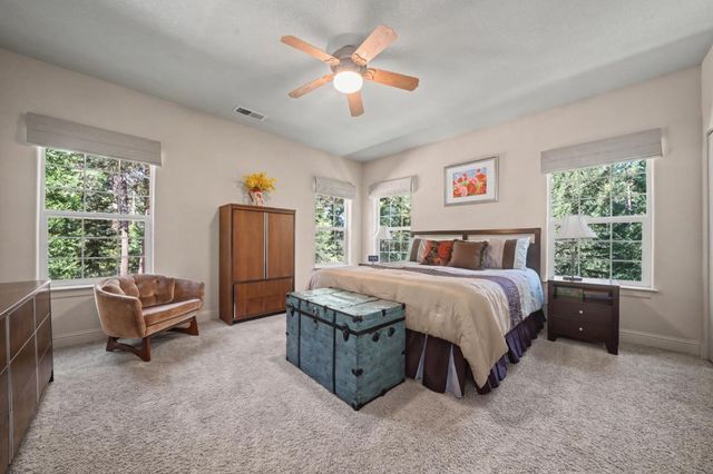 16111 Pioneer Creek Road, Pioneer, CA 95666