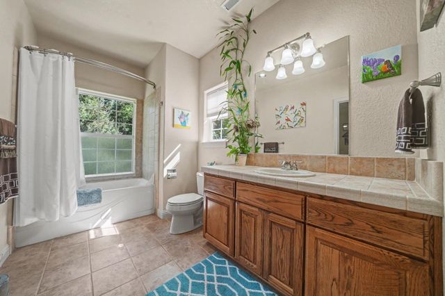 16111 Pioneer Creek Road, Pioneer, CA 95666