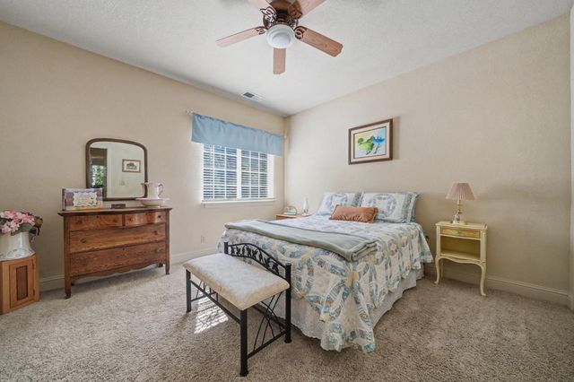 16111 Pioneer Creek Road, Pioneer, CA 95666