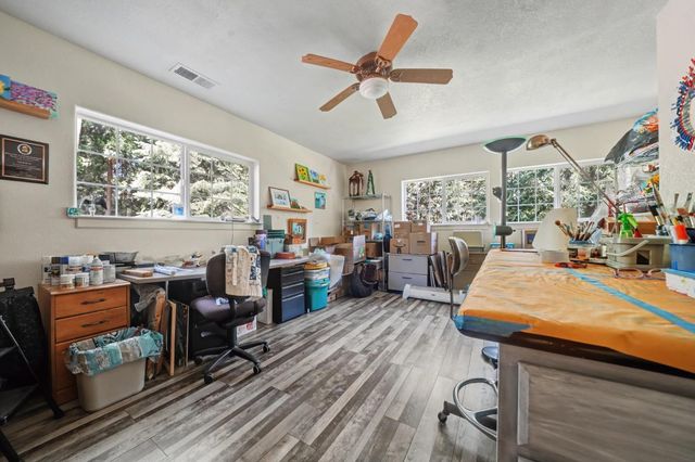 16111 Pioneer Creek Road, Pioneer, CA 95666