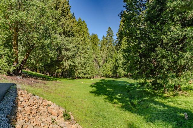 16111 Pioneer Creek Road, Pioneer, CA 95666