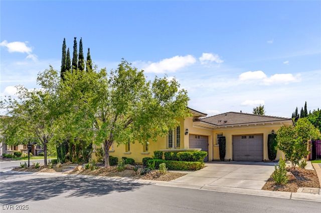 209 Surtees Point Street, Las Vegas, NV 89144