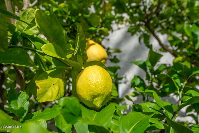 3041 Three Springs Drive, Westlake Village, CA 91361