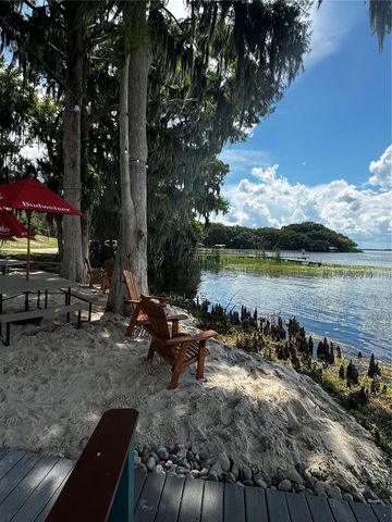 3385 LAKE DIANE ROAD, Tavares, FL 32778