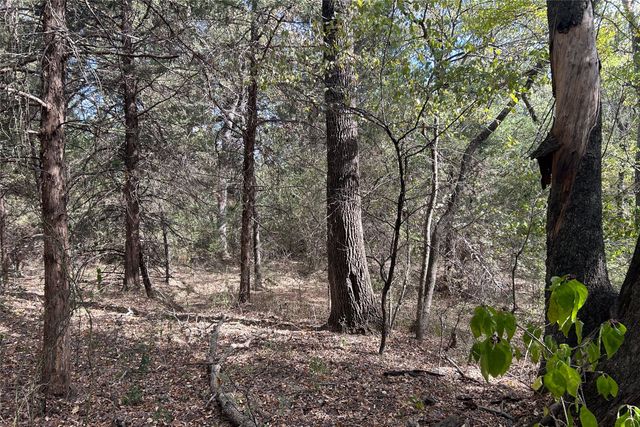TBD8 County Road 141, Callisburg, TX 76240