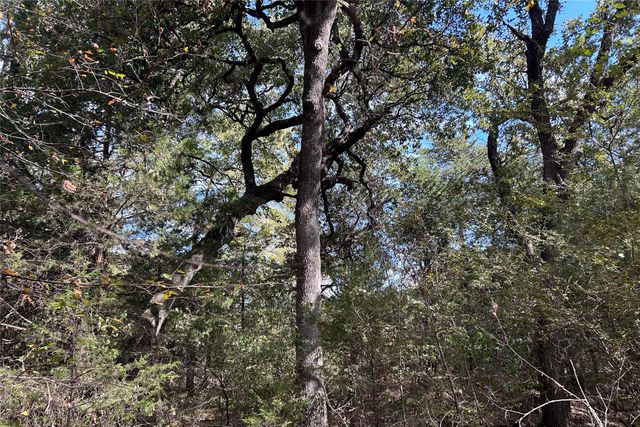 TBD8 County Road 141, Callisburg, TX 76240