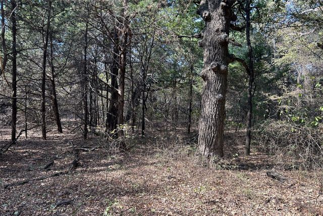 TBD8 County Road 141, Callisburg, TX 76240
