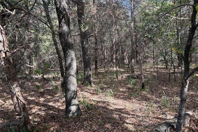 TBD8 County Road 141, Callisburg, TX 76240