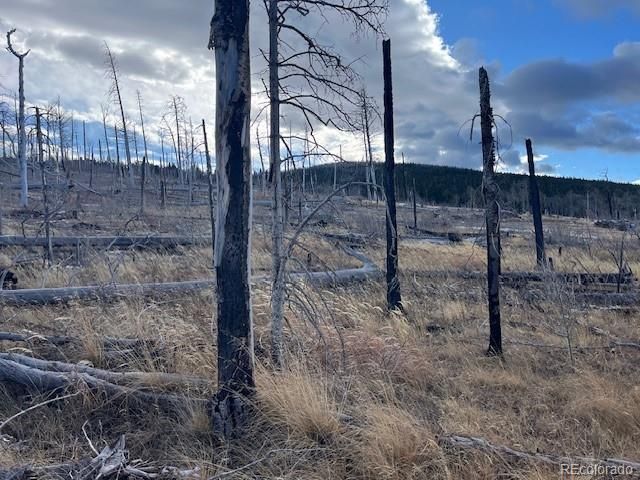 Lot 2544 Petito Drive, Fort Garland, CO 81133