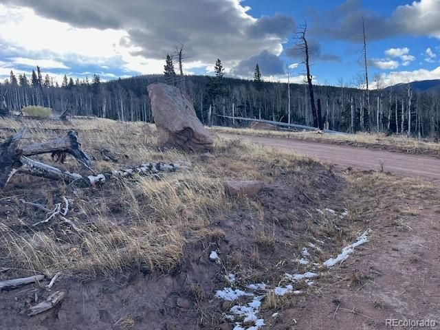 Lot 2544 Petito Drive, Fort Garland, CO 81133