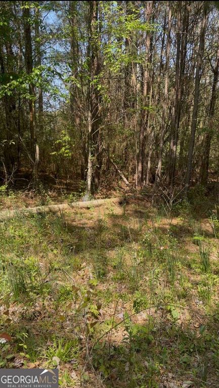 2557 Washington Highway, Elberton, GA 30635 — photo 3
