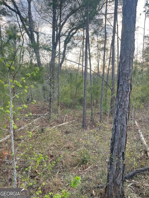 2557 Washington Highway, Elberton, GA 30635 — photo 4