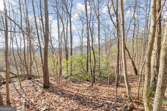0 Starlight Drive, Sautee Nacoochee, GA 30571