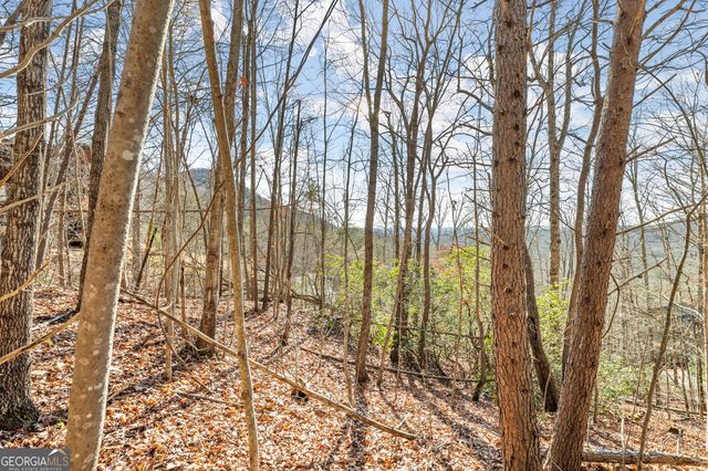 0 Starlight Drive, Sautee Nacoochee, GA 30571