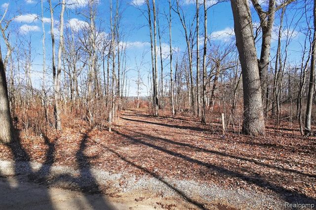 11770 Shaffer Road, Davisburg, MI 48350