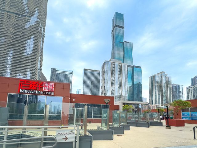 340 E Randolph Street 4902, Chicago, IL 60601