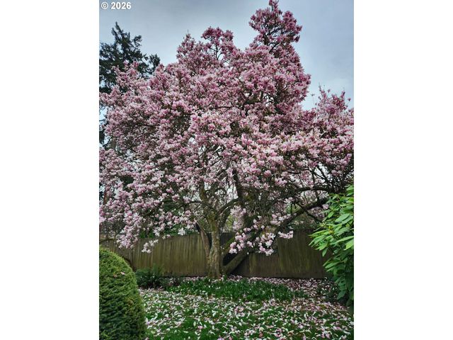 706 Se 135TH Ave, Portland, OR 97233
