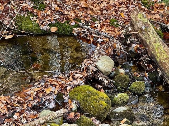 TBD Towle Hill Road, Eaton, NH 03848