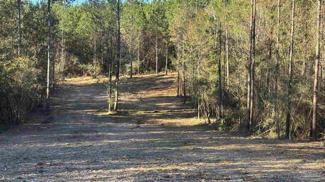 lot 68 Straw Bridge Rd, Allentown, FL 32565