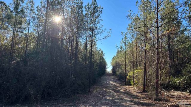 lot 68 Straw Bridge Rd, Allentown, FL 32565