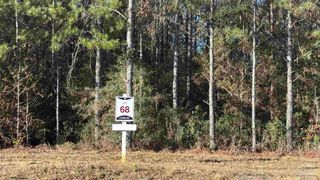 lot 68 Straw Bridge Rd, Allentown, FL 32565