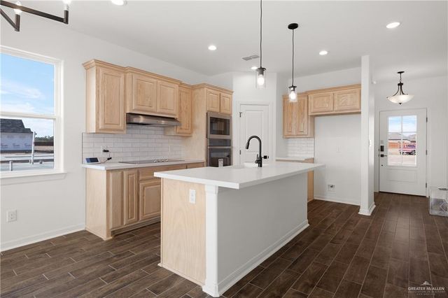 1024 W Star Flower Street, Edinburg, TX 78541