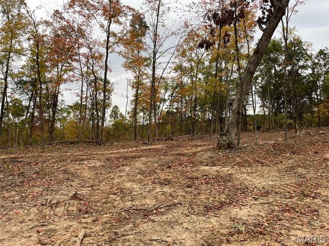 0 Mill St., Potosi, MO 63664