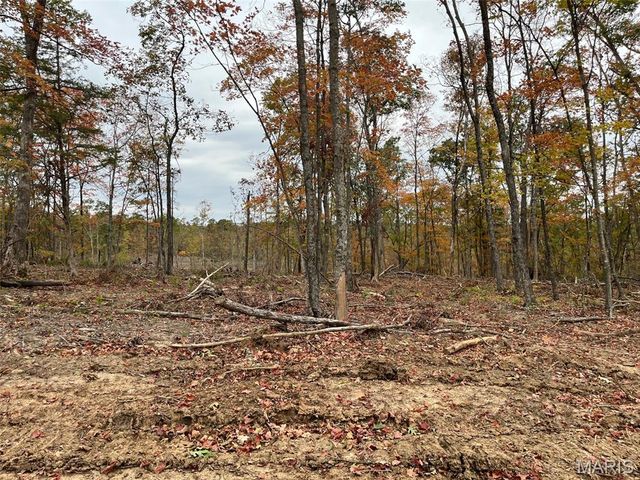 0 Mill St., Potosi, MO 63664