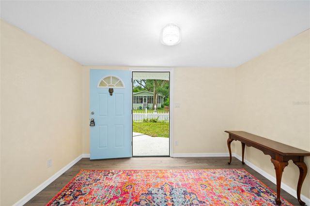 245 S RHODES STREET, Mount Dora, FL 32757