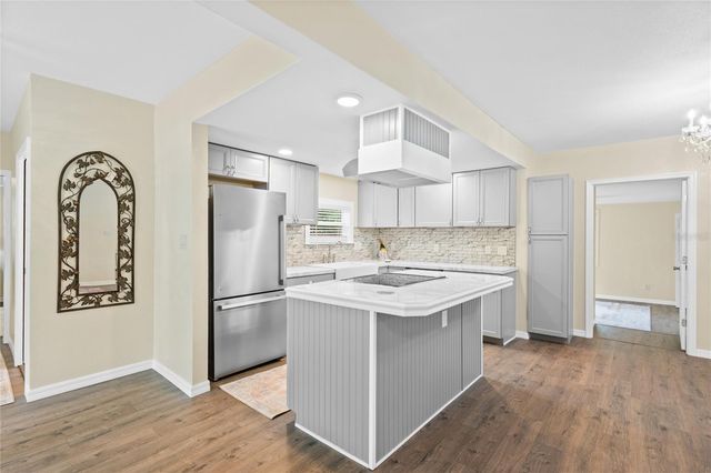 245 S RHODES STREET, Mount Dora, FL 32757