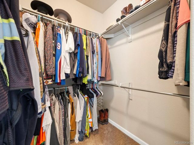 822 Settlers Dr, Milliken, CO 80543