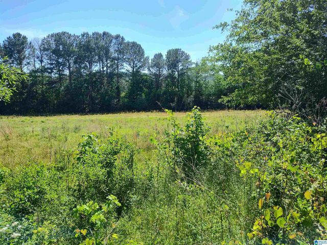6061 OLD SYLACAUGA HIGHWAY, Sylacauga, AL 35151