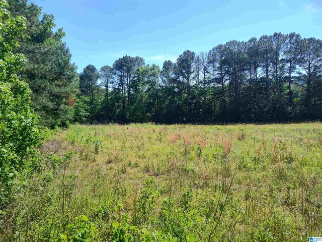 6061 OLD SYLACAUGA HIGHWAY, Sylacauga, AL 35151