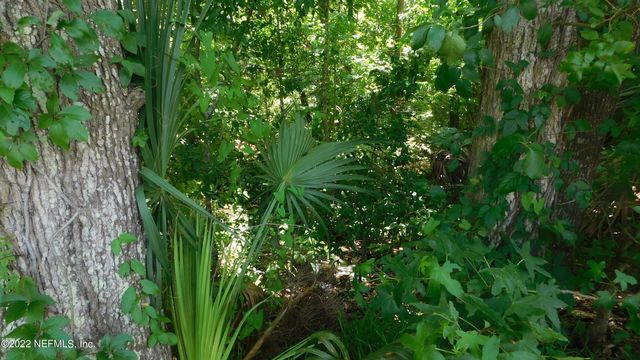 0 MCCOWAN Drive, Jacksonville, FL 32244