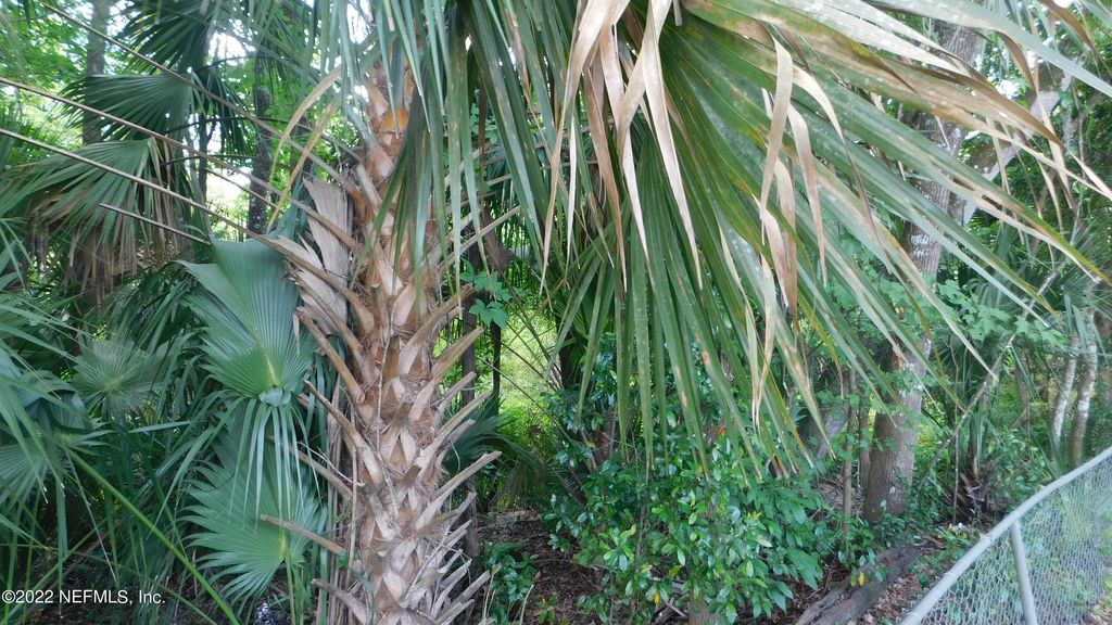 0 MCCOWAN Drive, Jacksonville, FL 32244