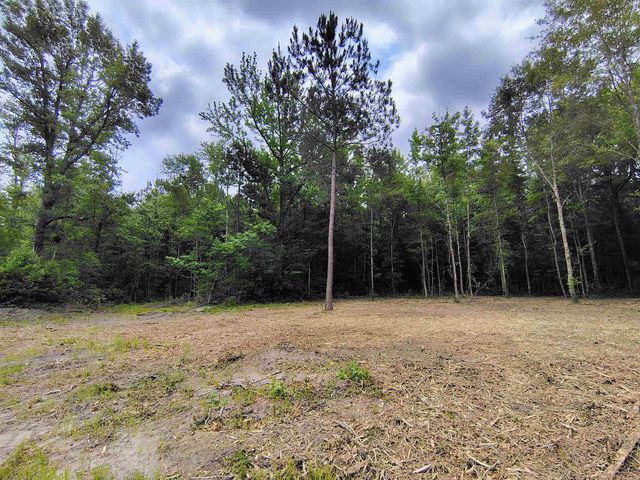 735 Hemingway Rd., Longs, SC 29568