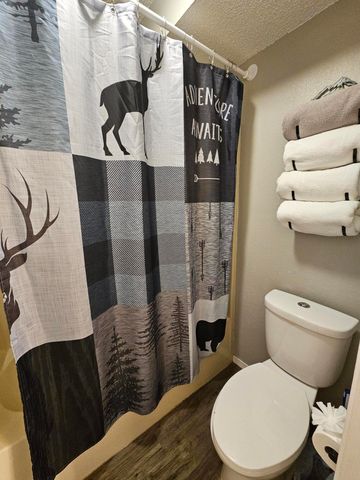 15 Fall Creek Trail 2, Branson, MO 65616