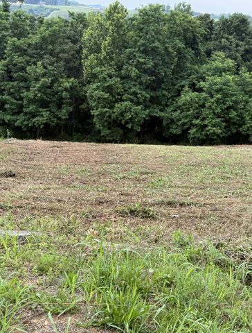 0 Mallard Rd, Hilham, TN 38568