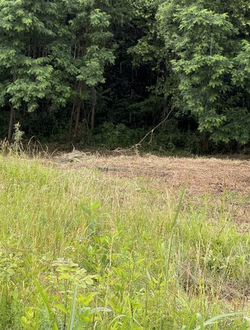 0 Mallard Rd, Hilham, TN 38568