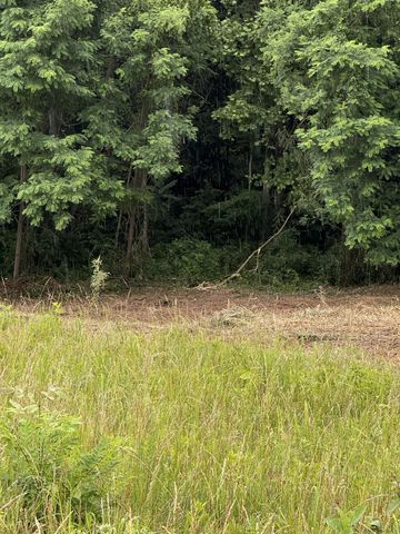 0 Mallard Rd, Hilham, TN 38568