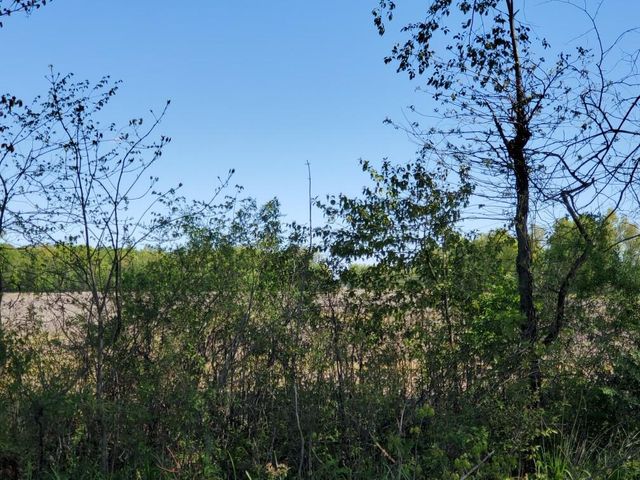 0 Woodtown Road, Tract 7, Galena, OH 43021
